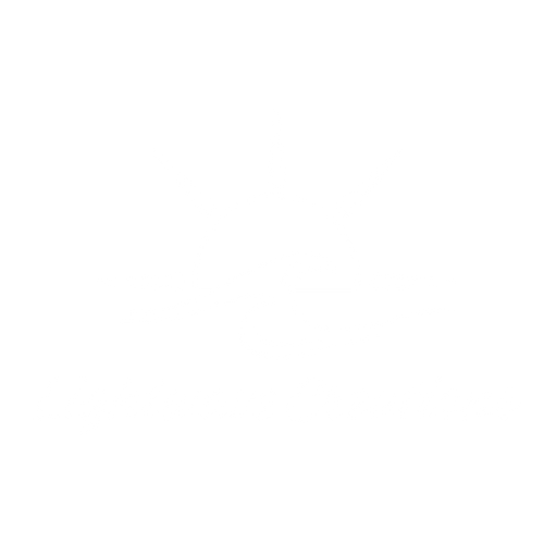 Lightwave Creations